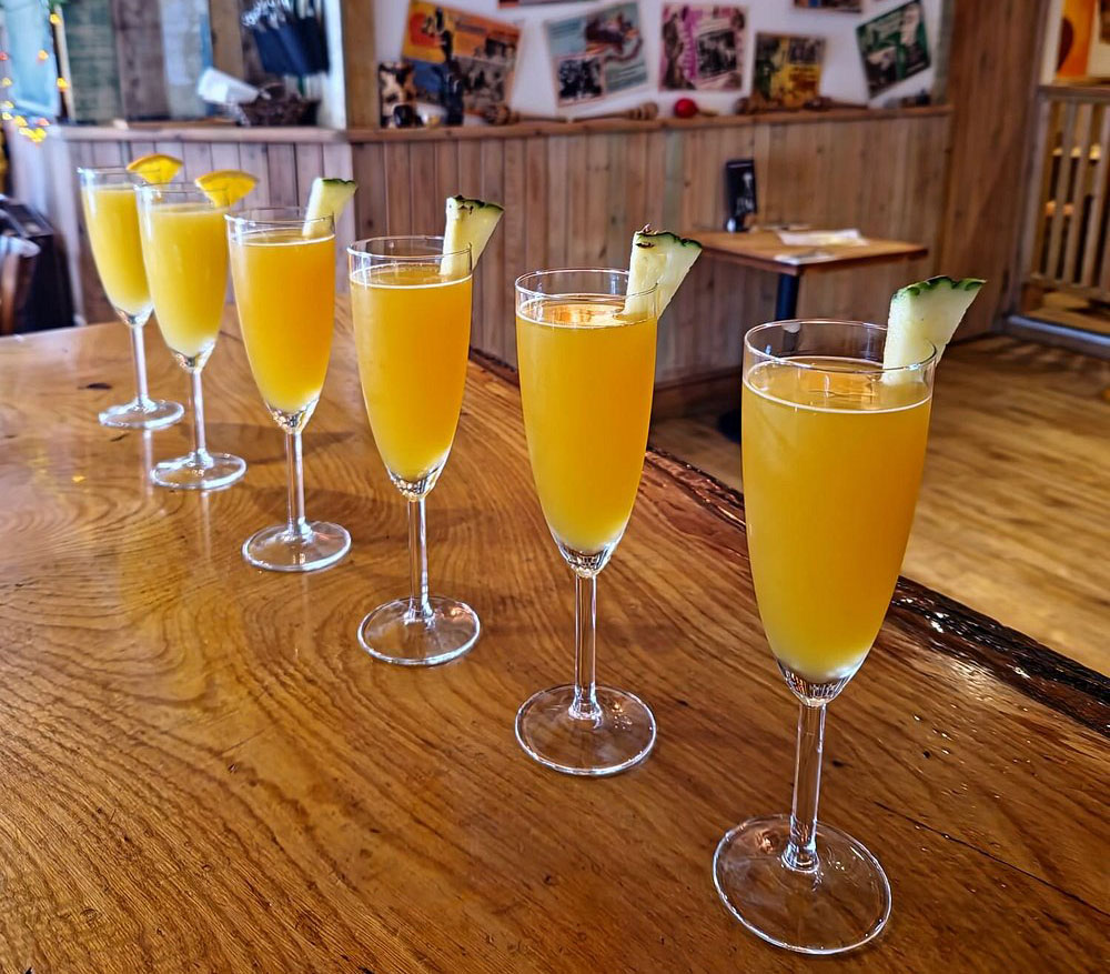 mimosa