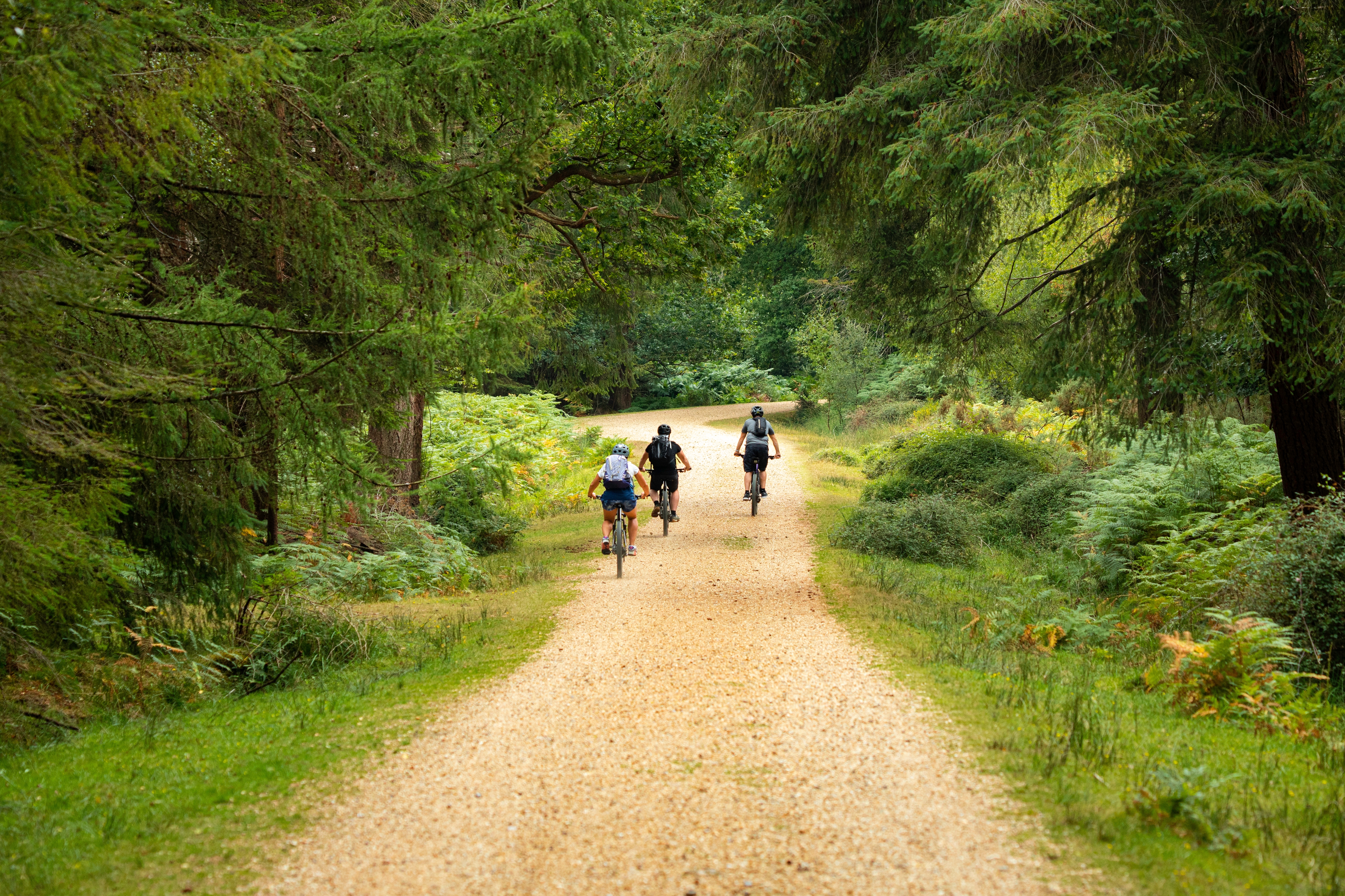 Group,Day,Out,In,The,Forest,Cycling